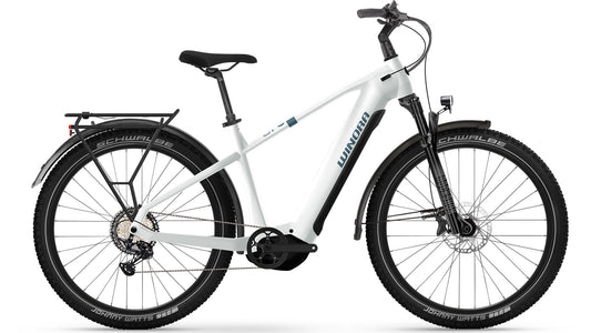 Winora Yucatan X12 Pro image 0