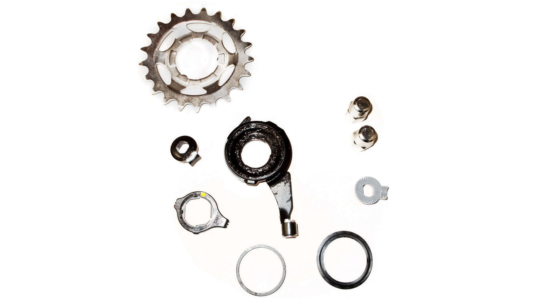 Laufrad HR 28 Zoll ZAC / Nexus 8-G image 1