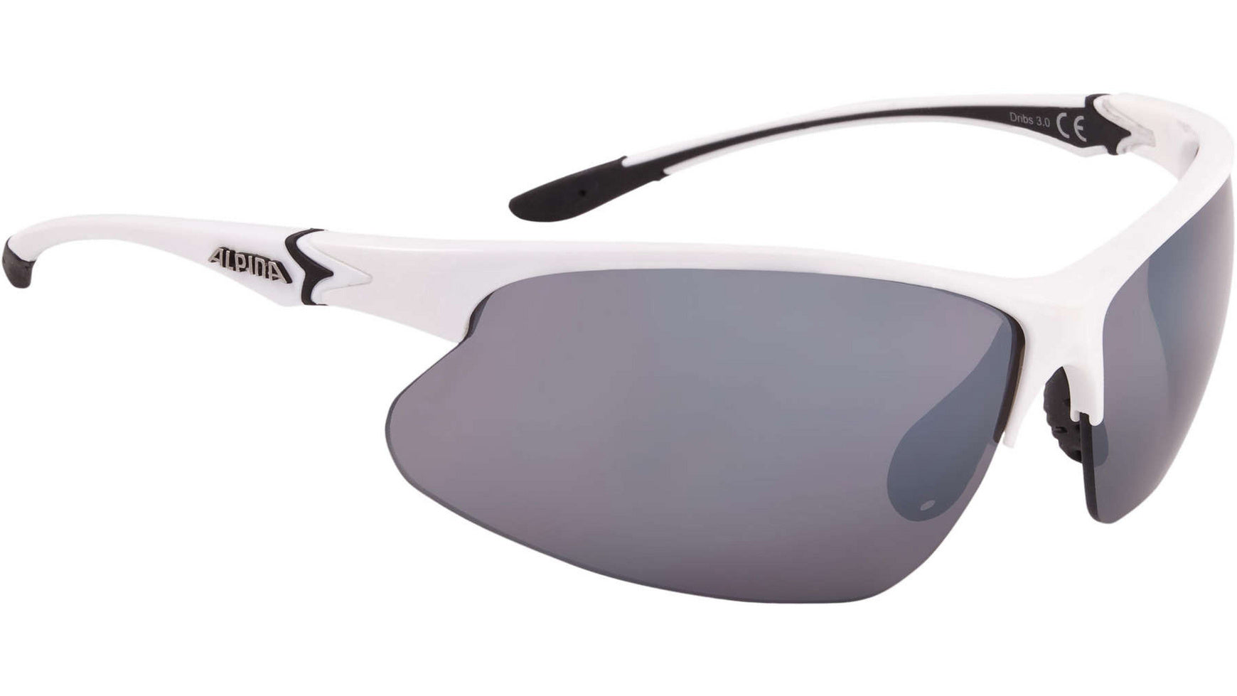 Alpina Dribs 3.0 Fahrradbrille image 1