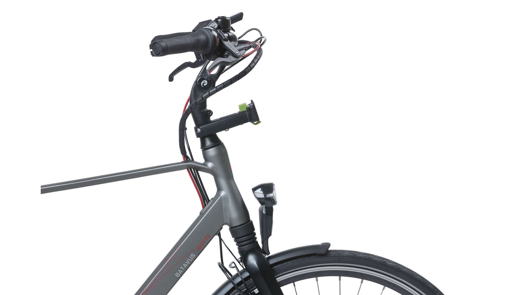 Basil Ahead-Stemholder KF image 1