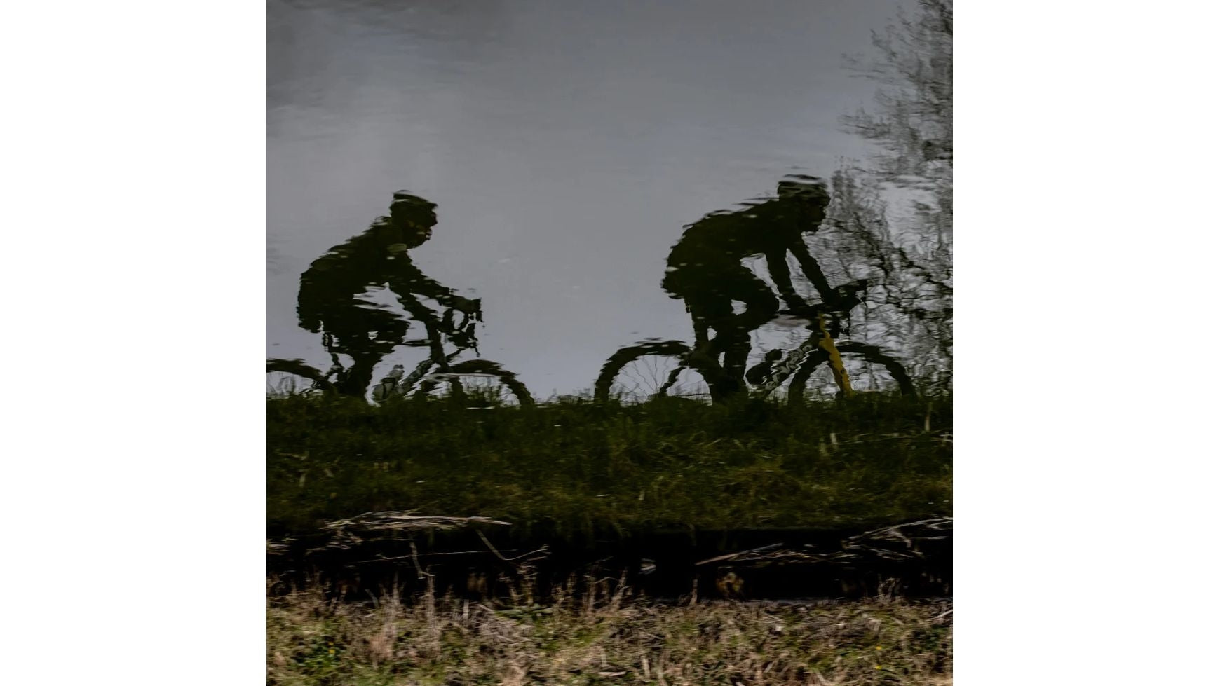 BBB ColdShield Bib-Tights image 7