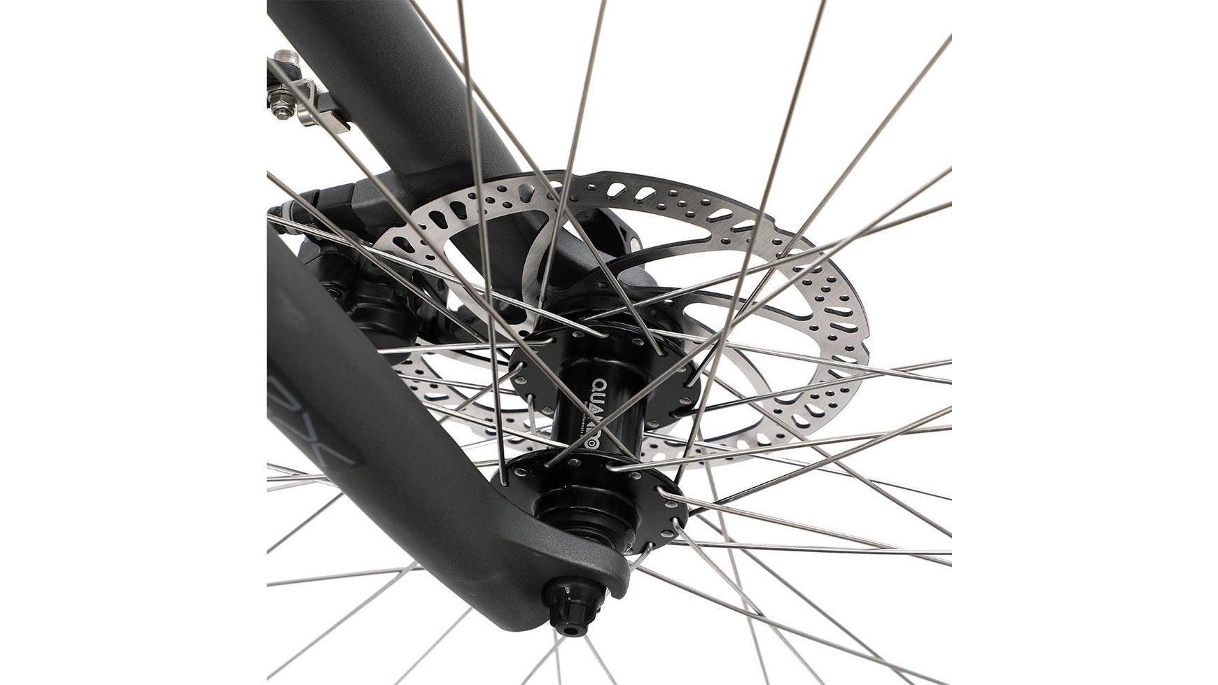 Bocas Sevilla 8.3 image 2