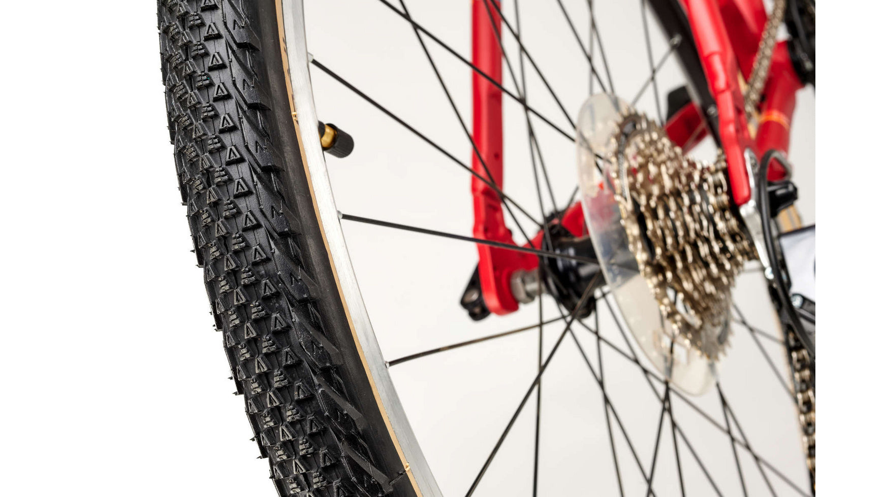 Academy Grade 6 image 12