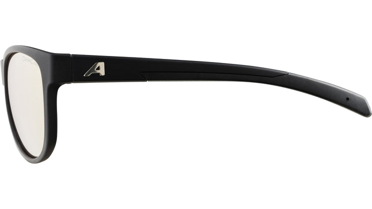 Alpina NACAN II CMRG Fahrradbrille image 4