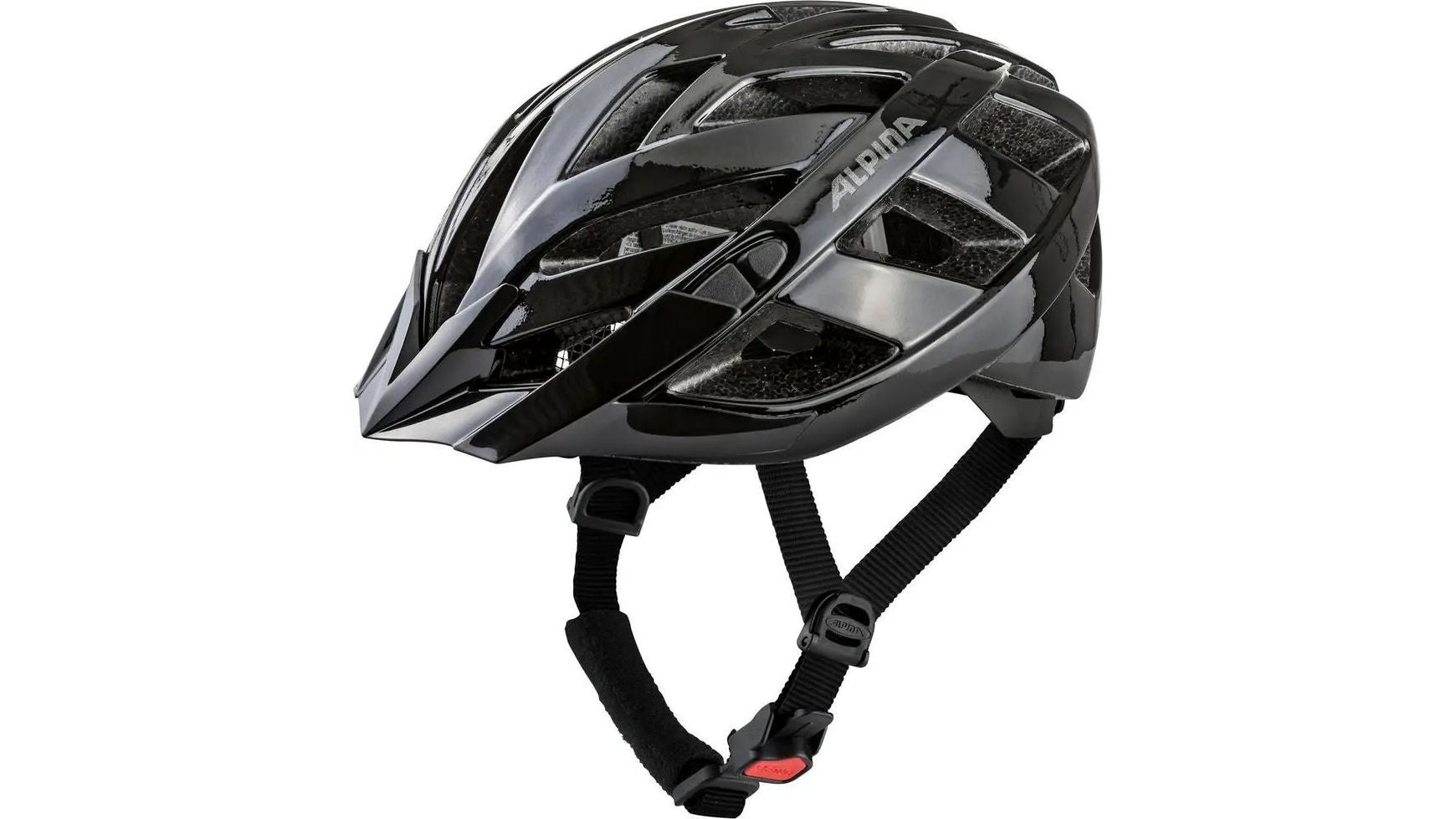 Alpina Panoma Classic image 18