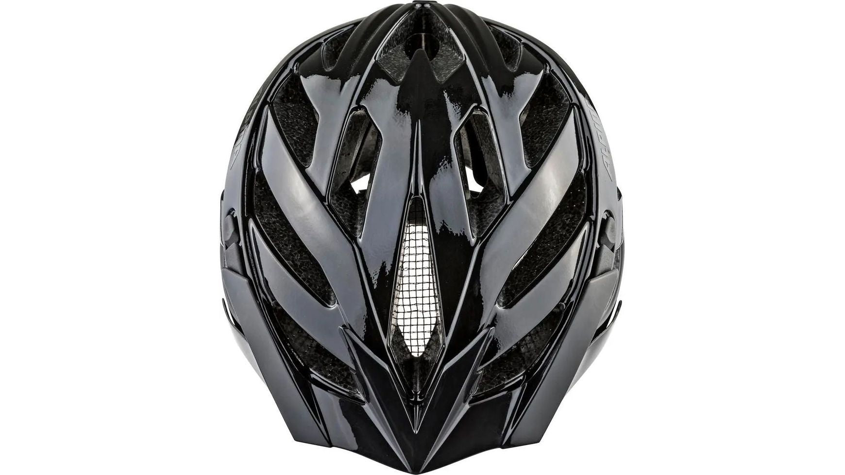 Alpina Panoma Classic image 19