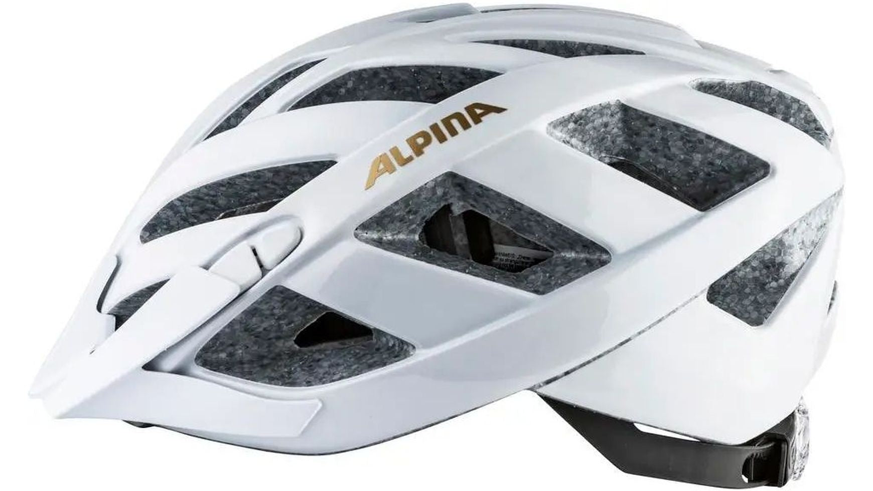 Alpina Panoma Classic image 17