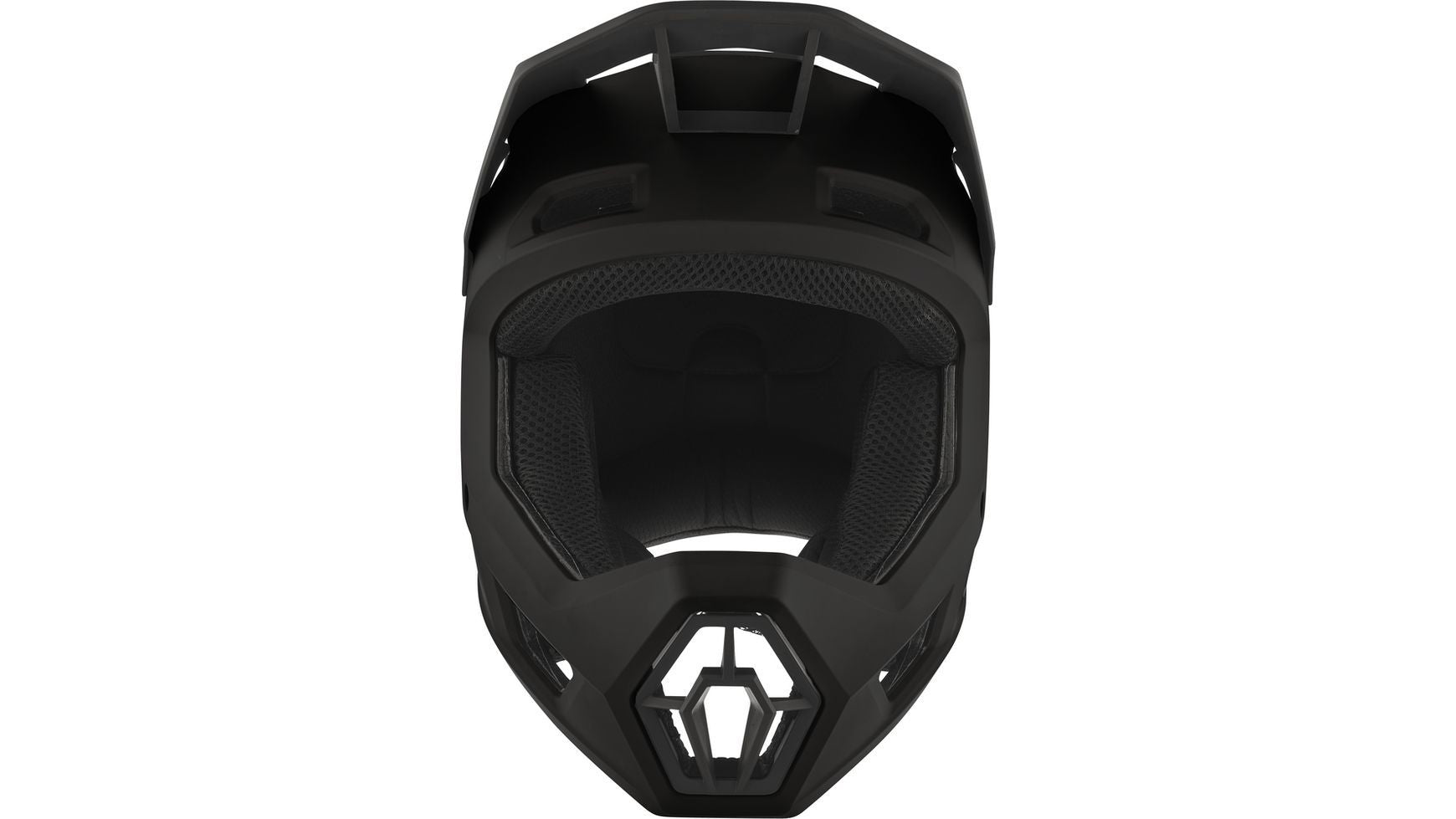 Alpina Pikes MIPS Fullfacehelm image 2
