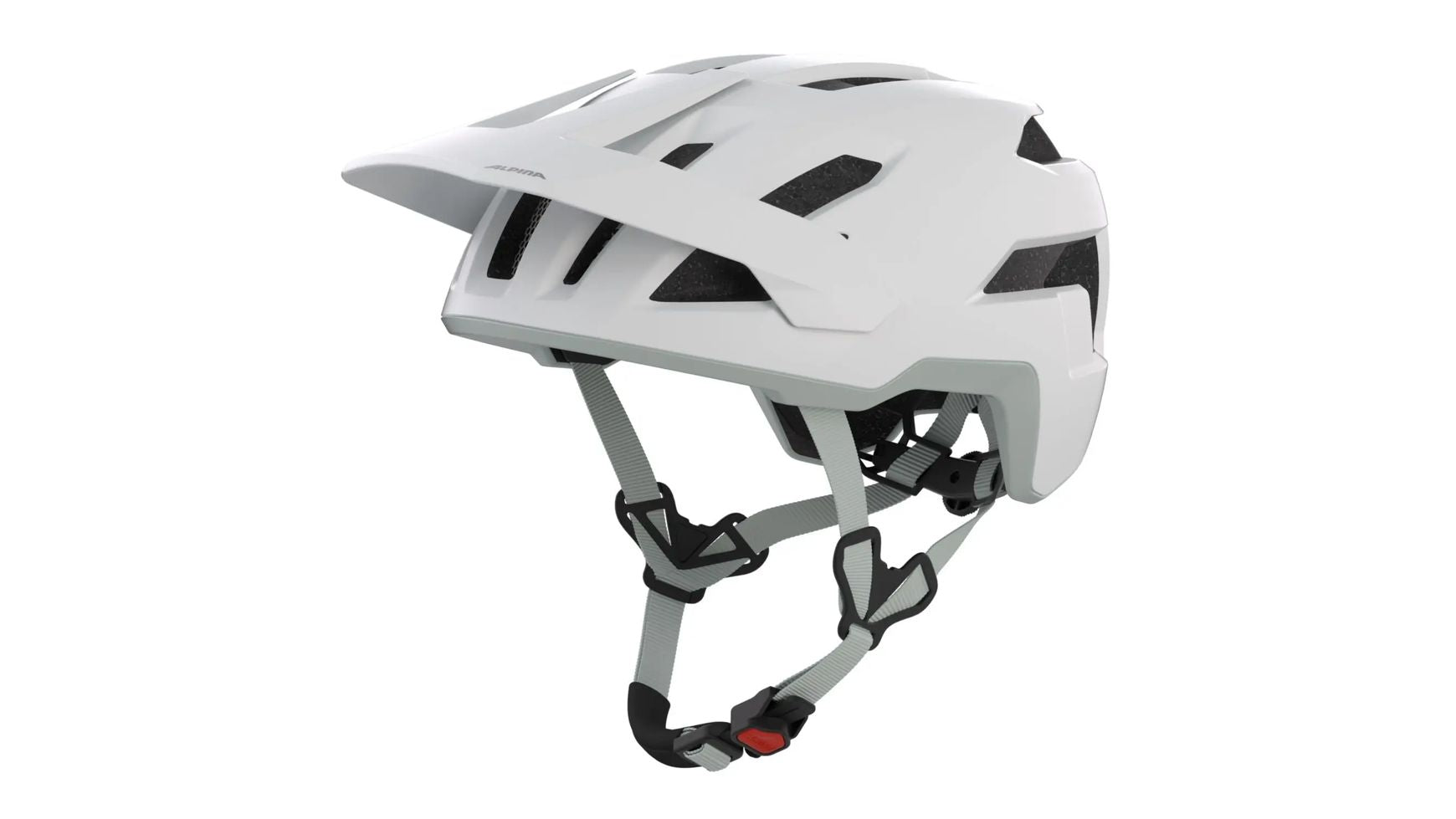 Alpina Taunus image 0