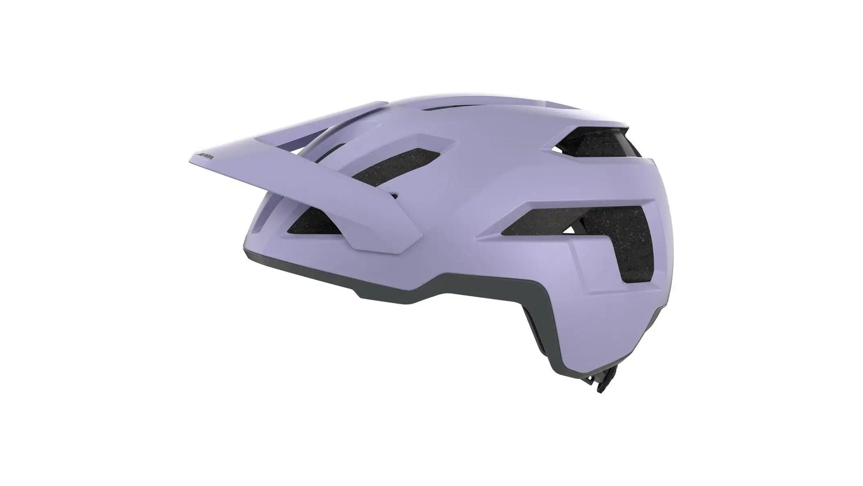 Alpina Taunus image 11