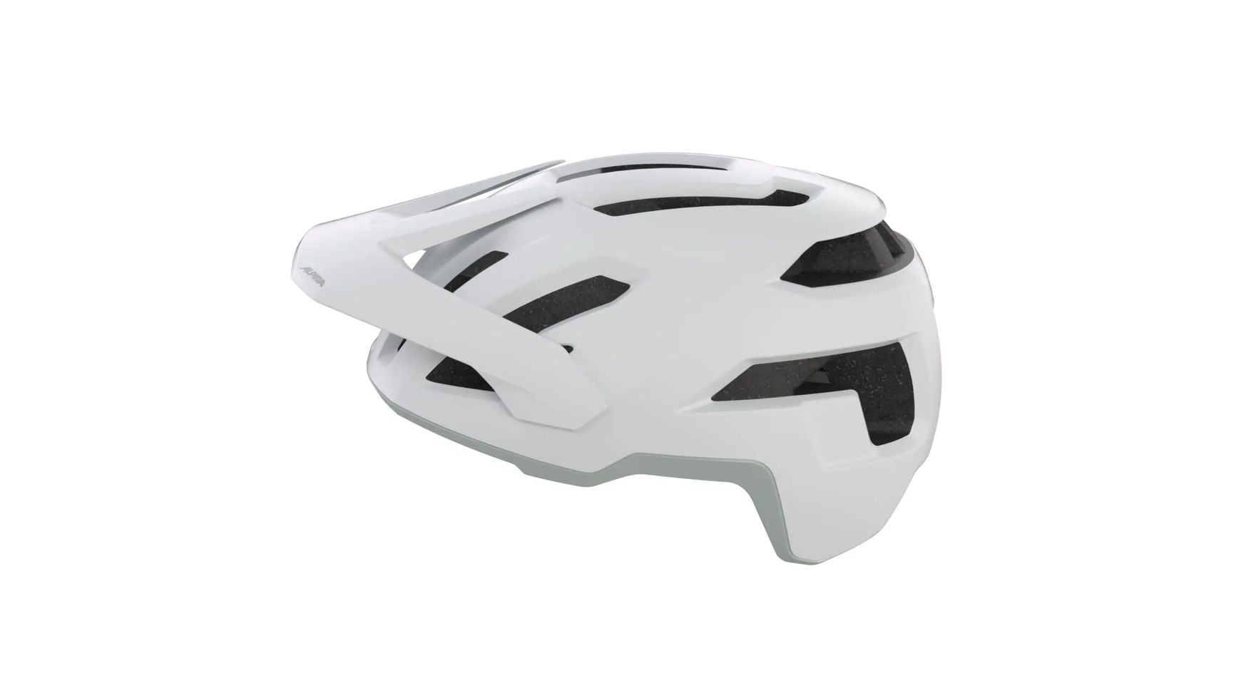 Alpina Taunus image 3