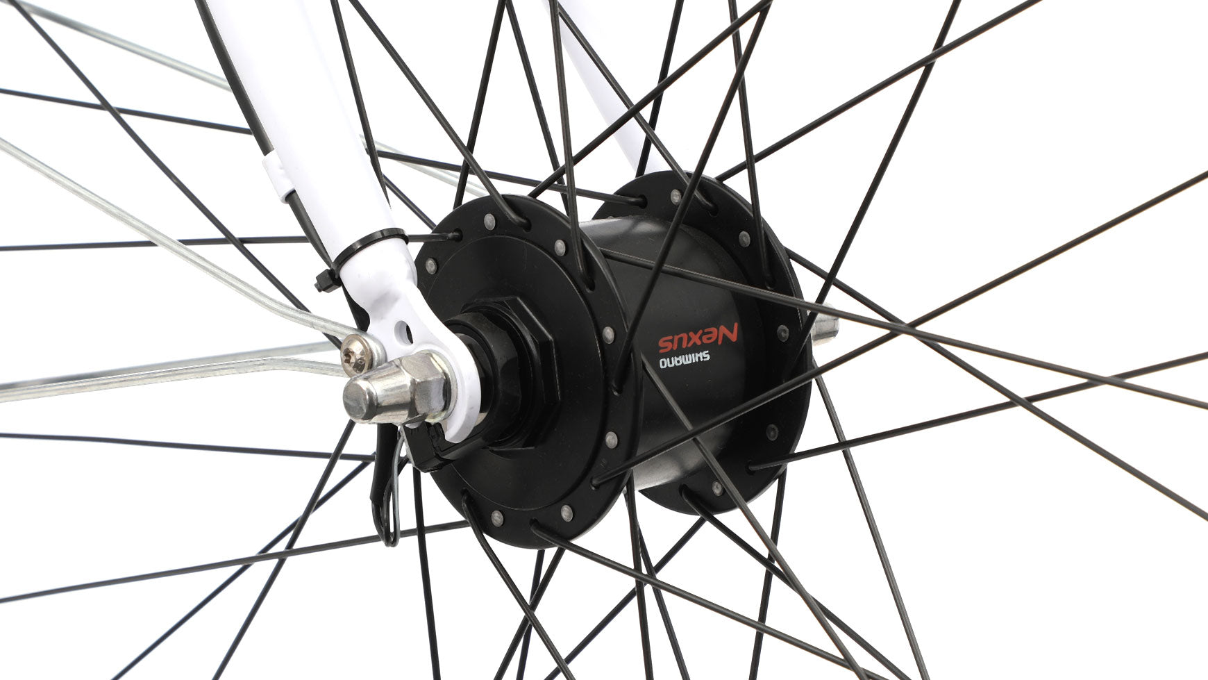 Bocas Bari L Wave image 8