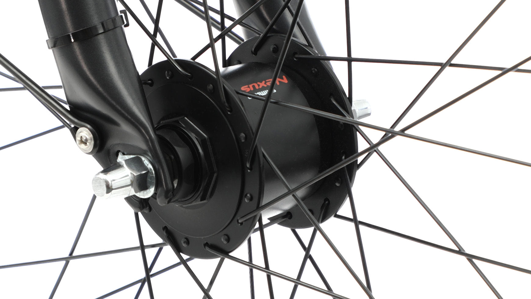 Bocas Stella 26.21 Wave image 2