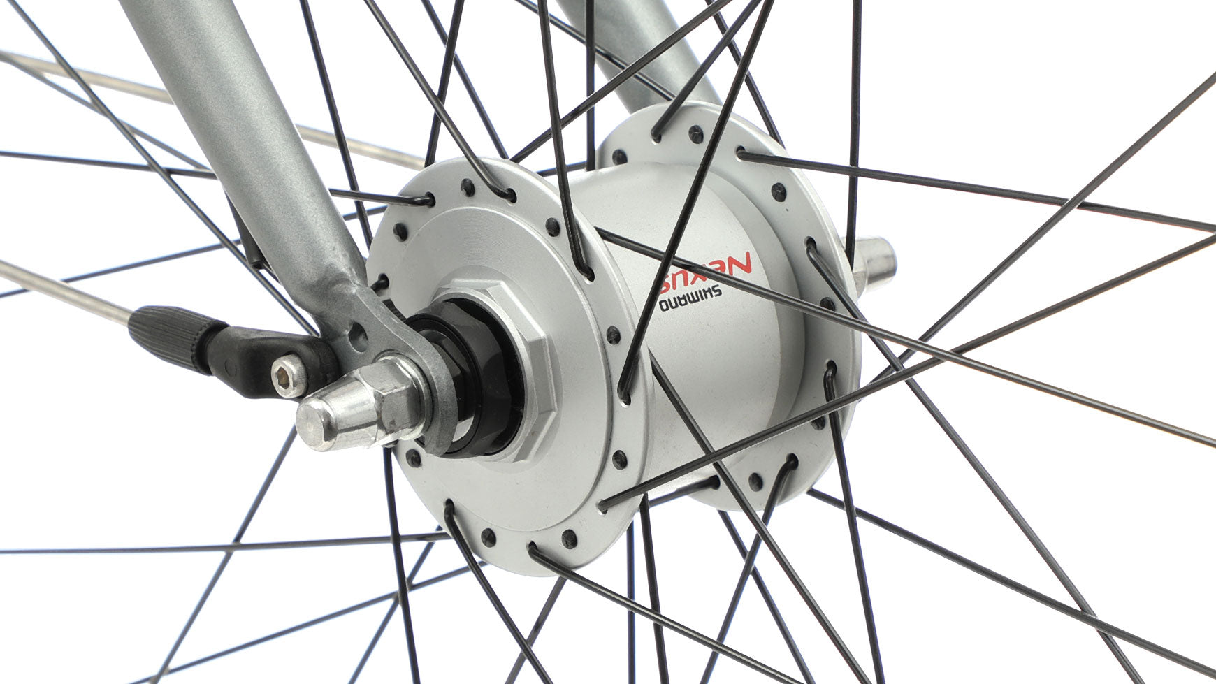 Bocas Tampa Wave image 3