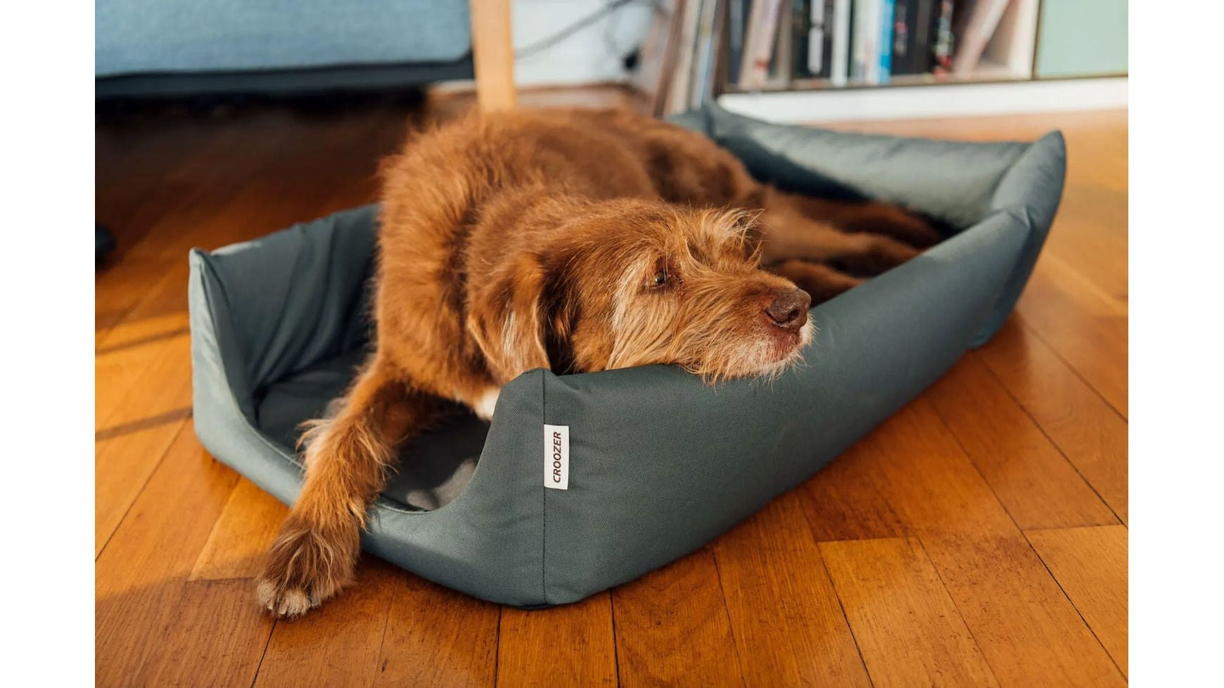 Croozer Hundebett für Dog Enna image 7