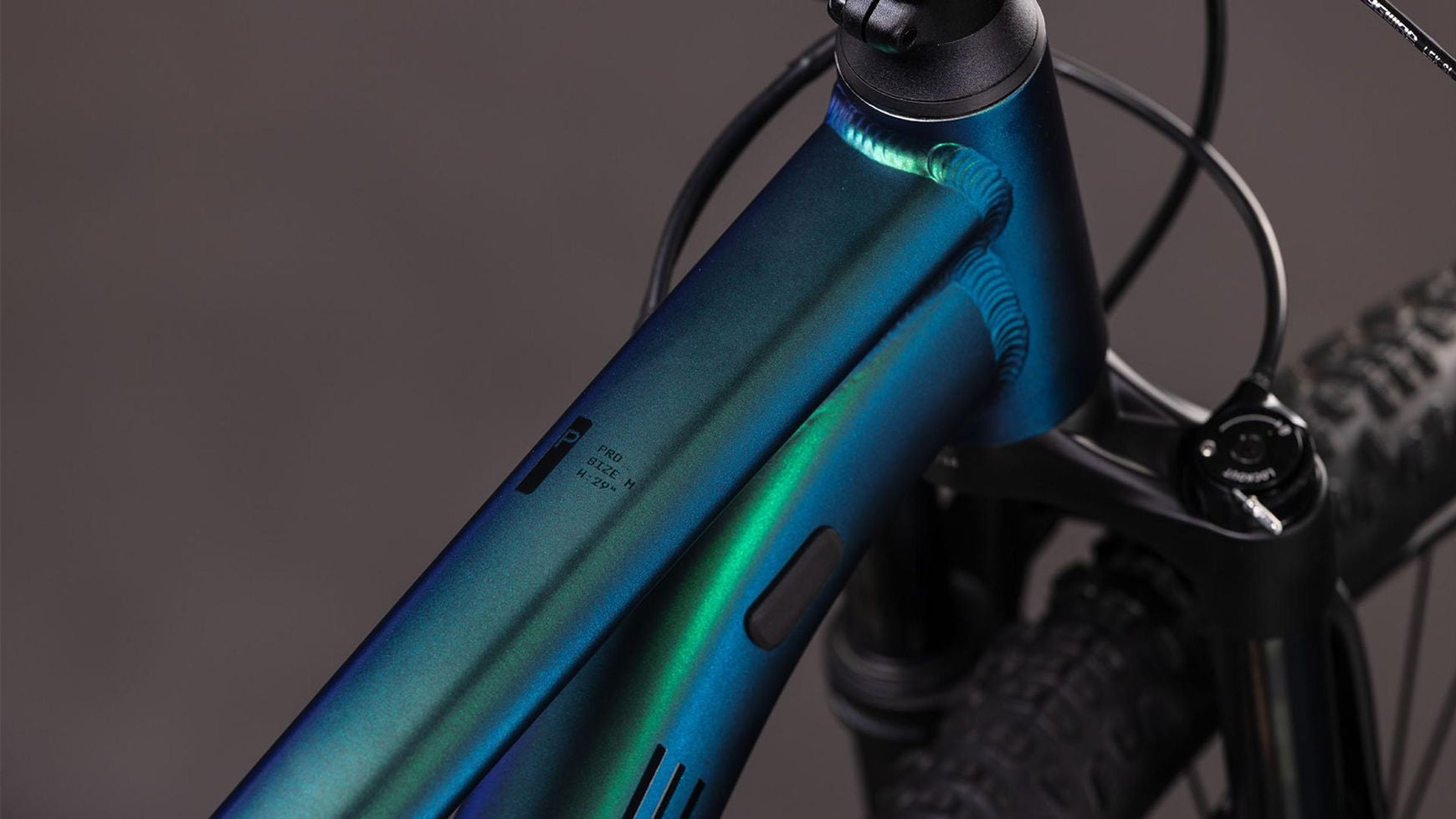 {EADAA7E5-AEDB-42FC-BFBD-2417CE7E26FE}