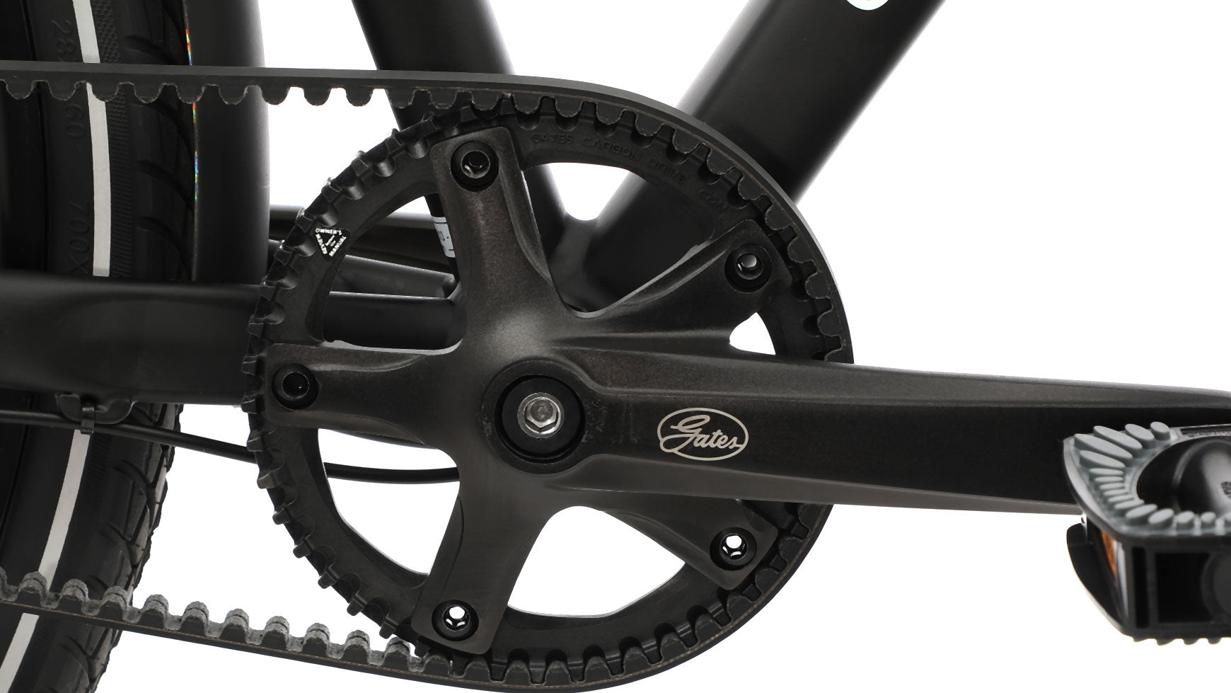 Cuneo CXS 1300 image 5