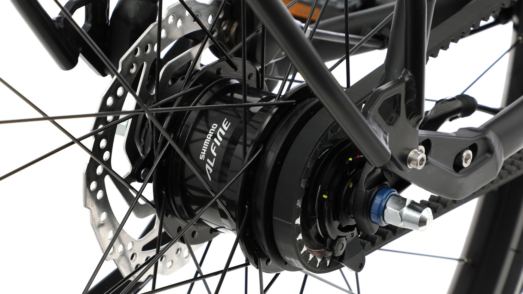 Cuneo CXS 1300 image 6