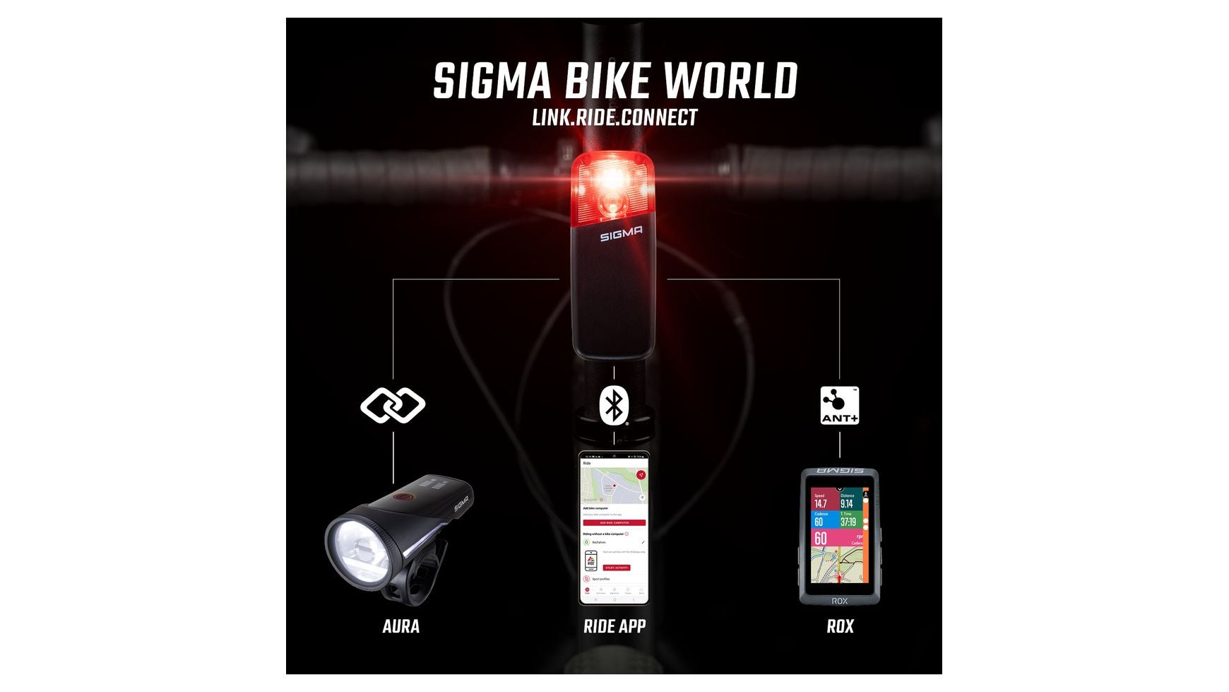 Sigma RECO 80 Link Rücklicht image 5