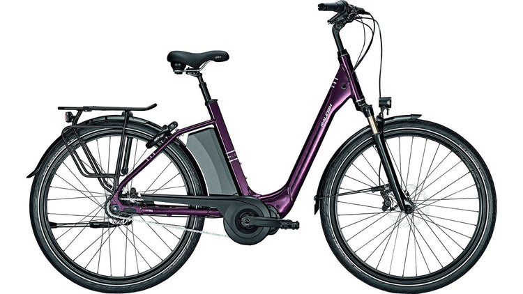 Raleigh Corby 8 XXL Comfort RT image 1