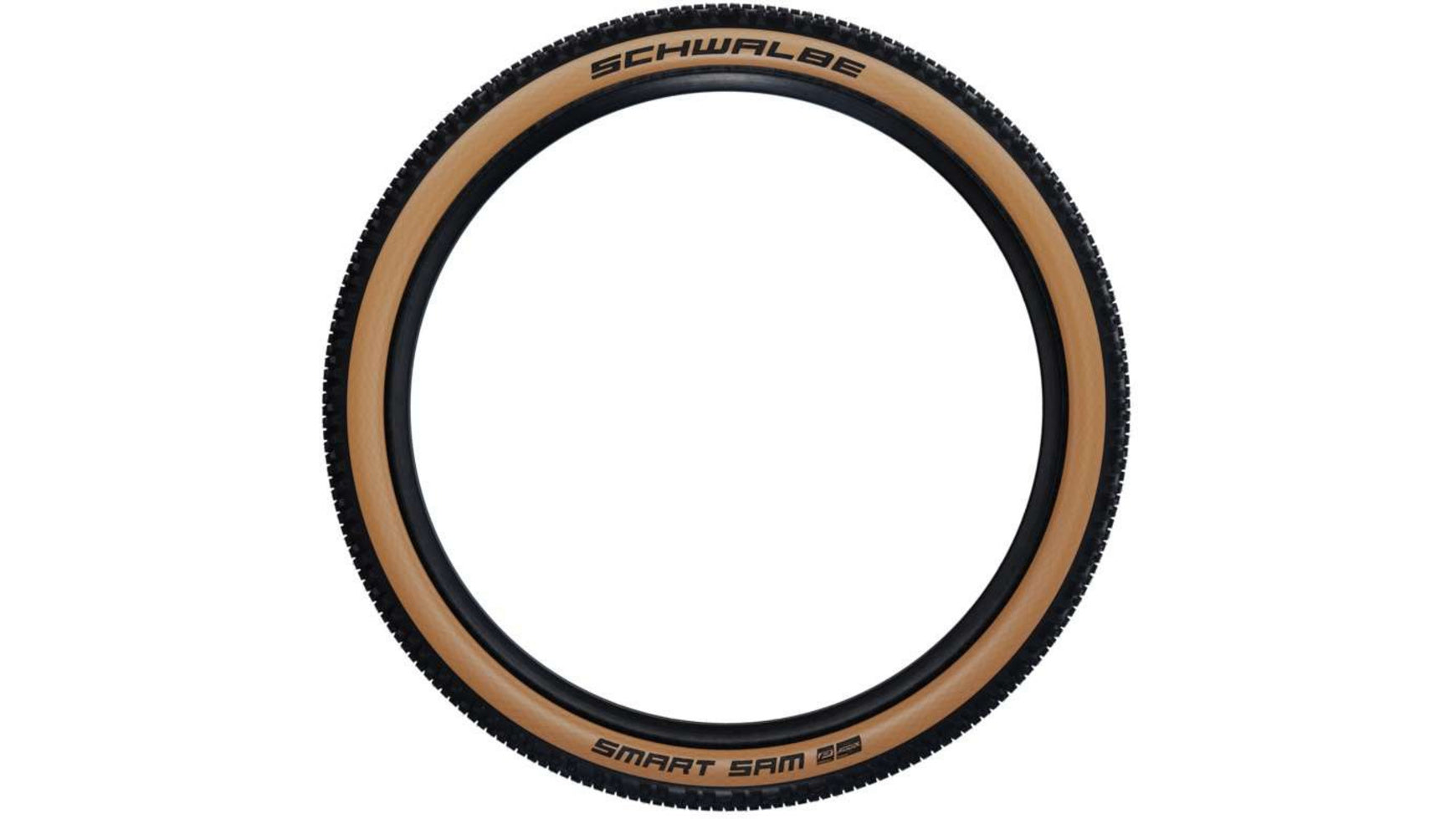 Schwalbe Smart Sam Perf. RG 29 image 3